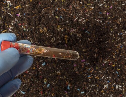 What Is a Common Source of Soil Contamination in NSW?